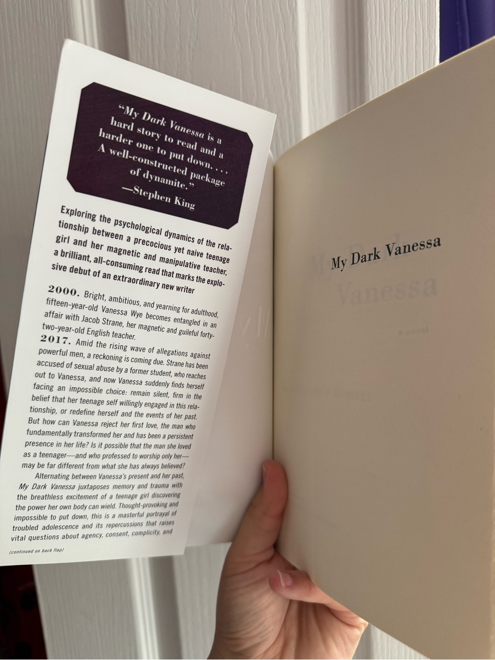 Book - My Dark Vanessa - Picture 3 of 3